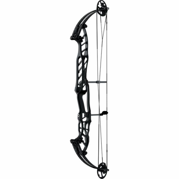 Hoyt Stratos