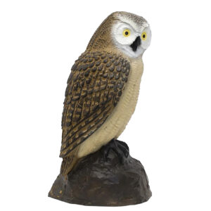 SRT 3D Target Little Screech Owl