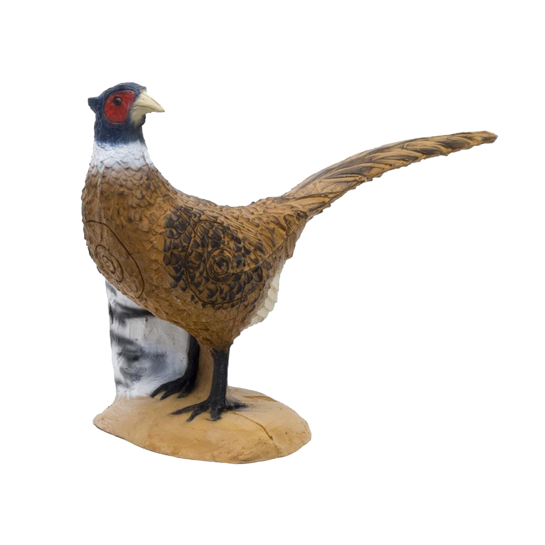 SRT 3D Target Pheasant