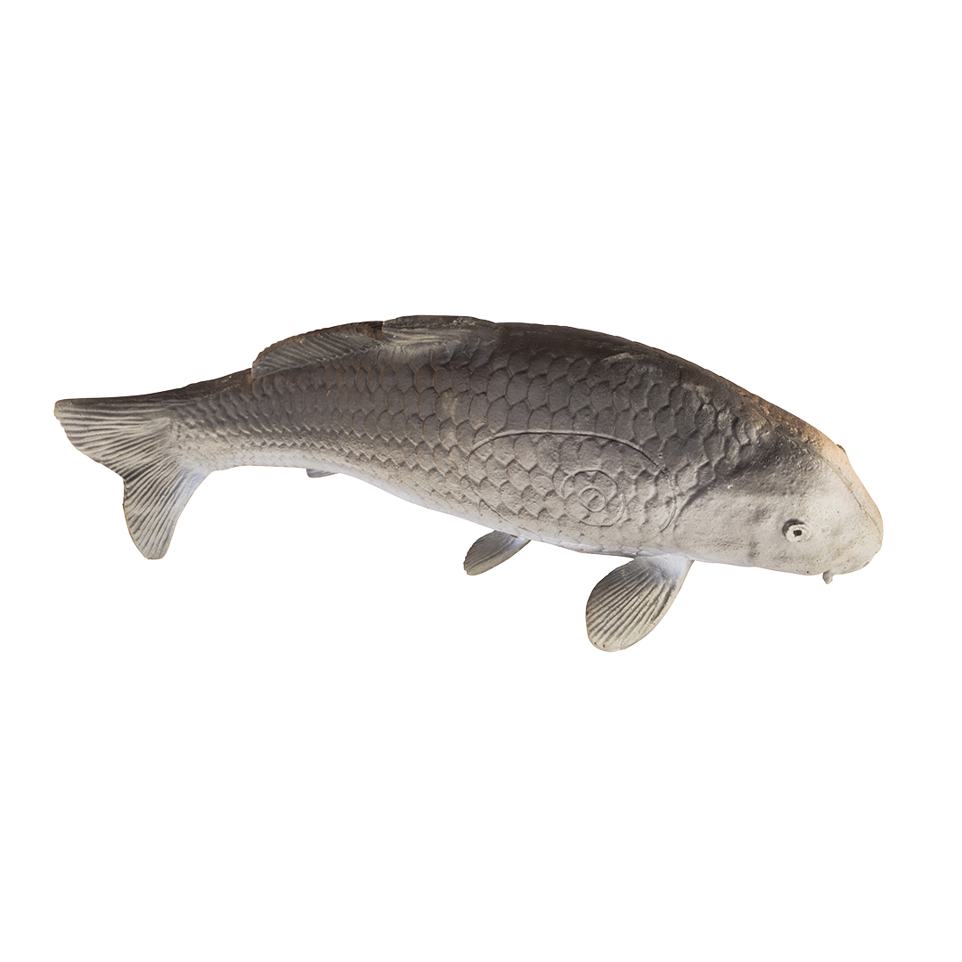 Eleven 3D Target Carp