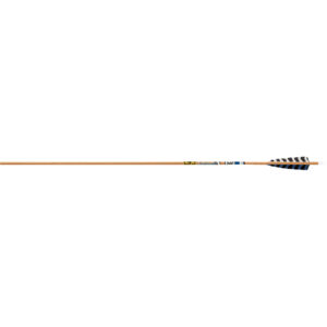 Gold Tip Tube Carbon Traditional