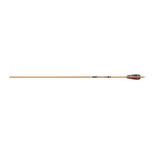Gold Tip Arrow Carbon Hunting Fletched Traditional | Unit 6