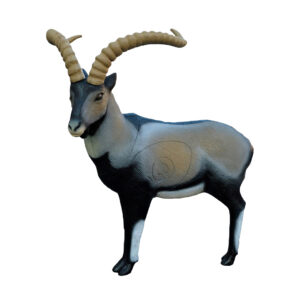 SRT 3D Target Iberian Ibex