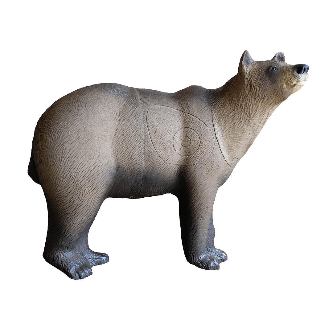 SRT 3D Target Brown Bear Marsicano