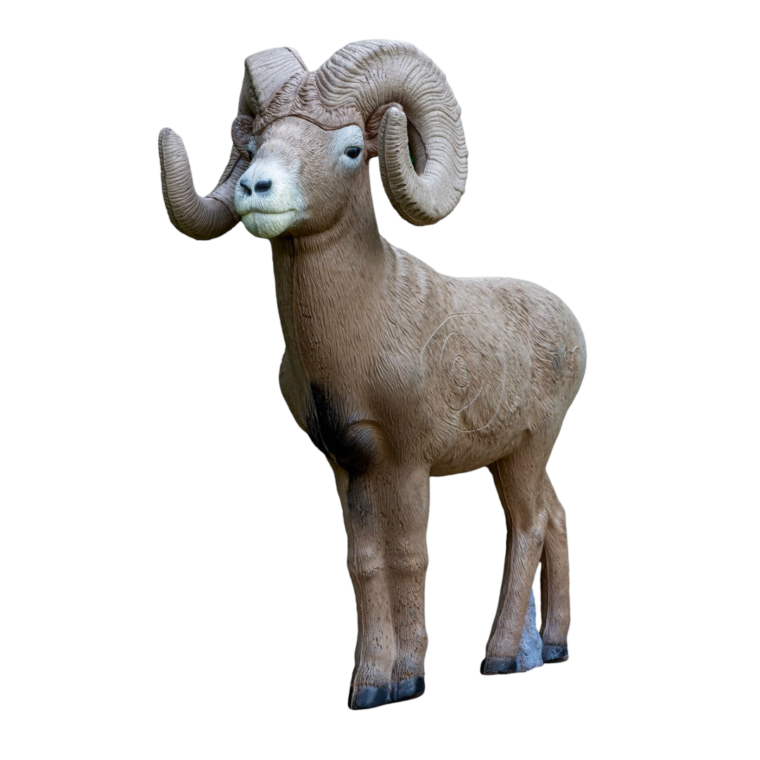 Rinehart 3D Target ½ Scale Signature Bighorn Sheep