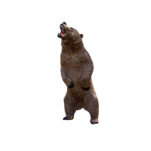 Rinehart 3D Target Bear Kodiak Grizzly IBO