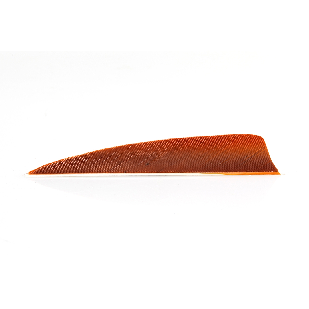 Trueflight Feathers 4" Shield RW (lot de 50)