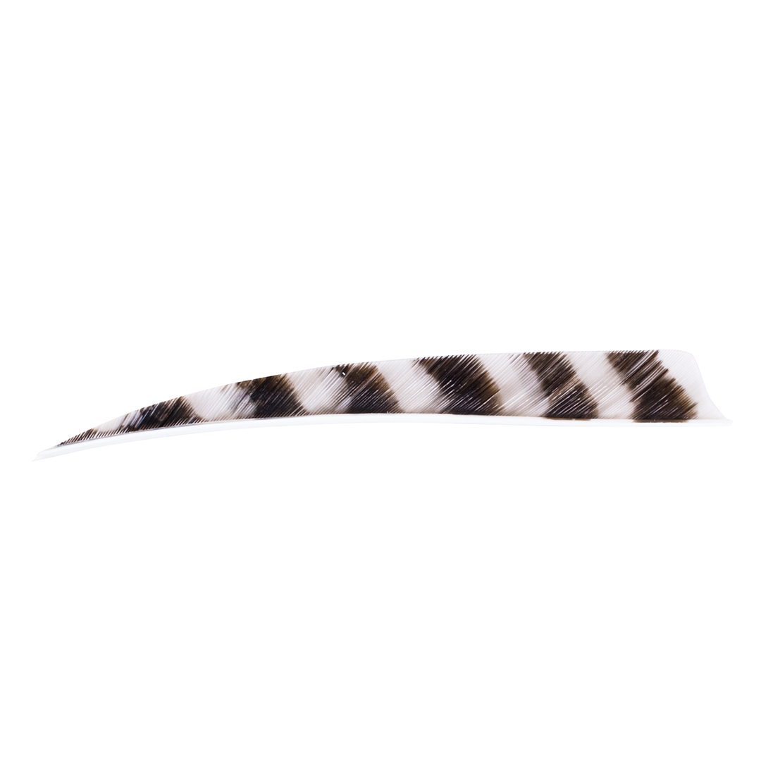Trueflight Feathers 5" Shield RW Barred (lot de 50)