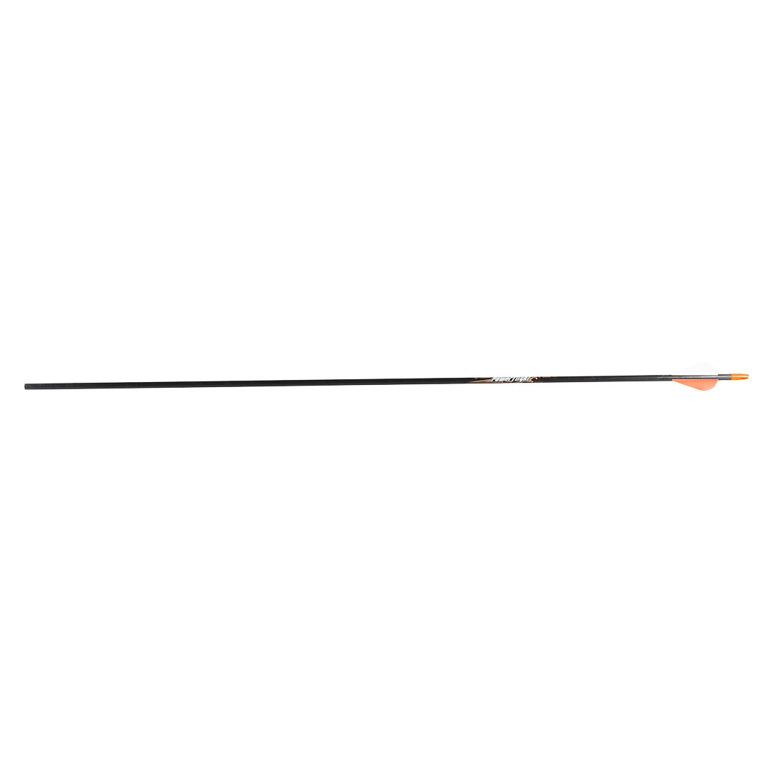 Easton Arrow Carbon PowerFlight 300 (lot de 12)
